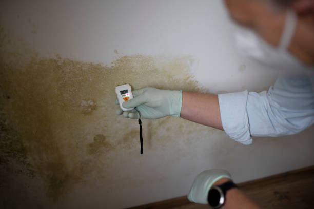 Professional Mold Remediation in Fort Thompson, SD
